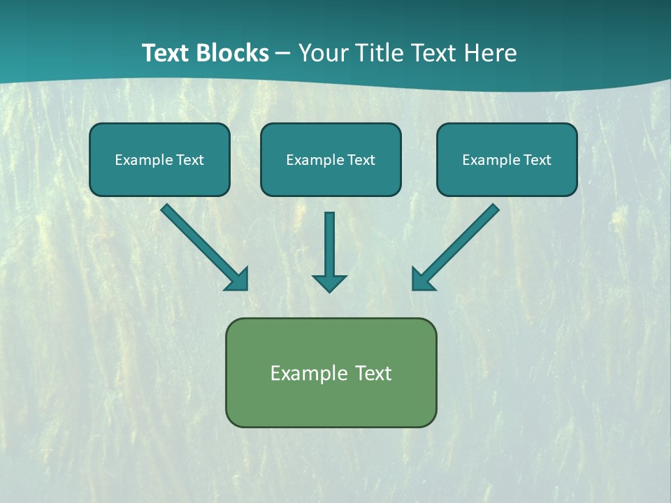 Algae Life Plant PowerPoint Template