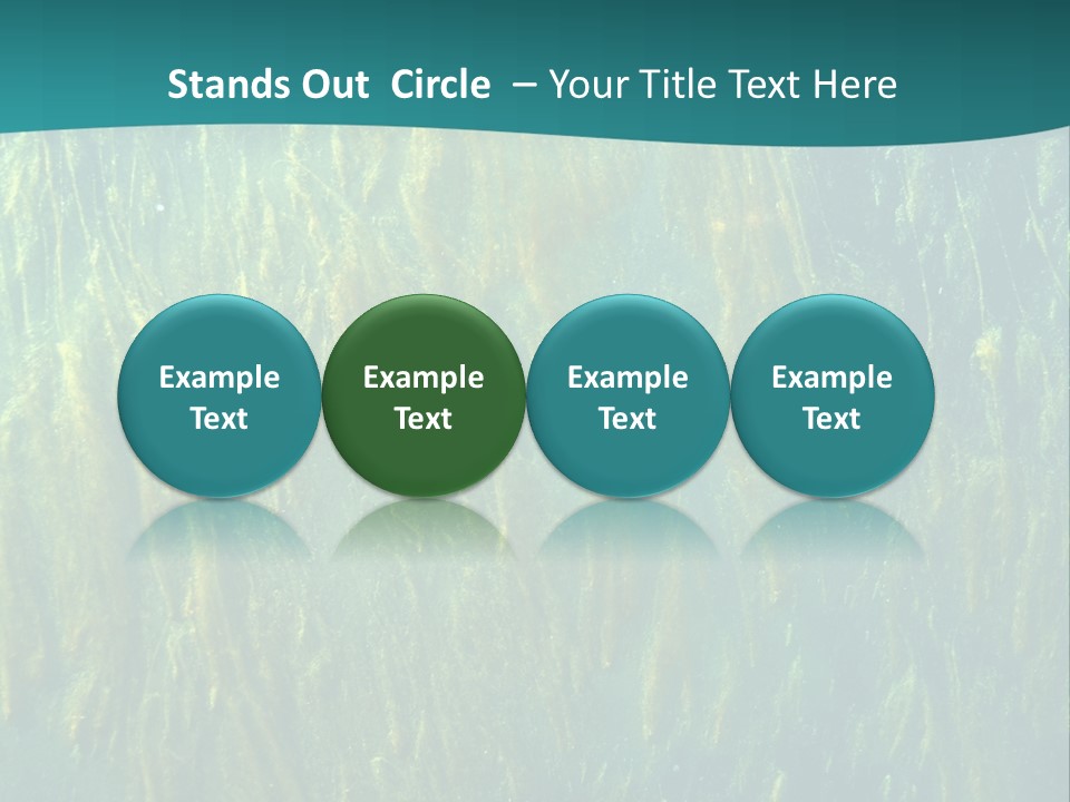 Algae Life Plant PowerPoint Template