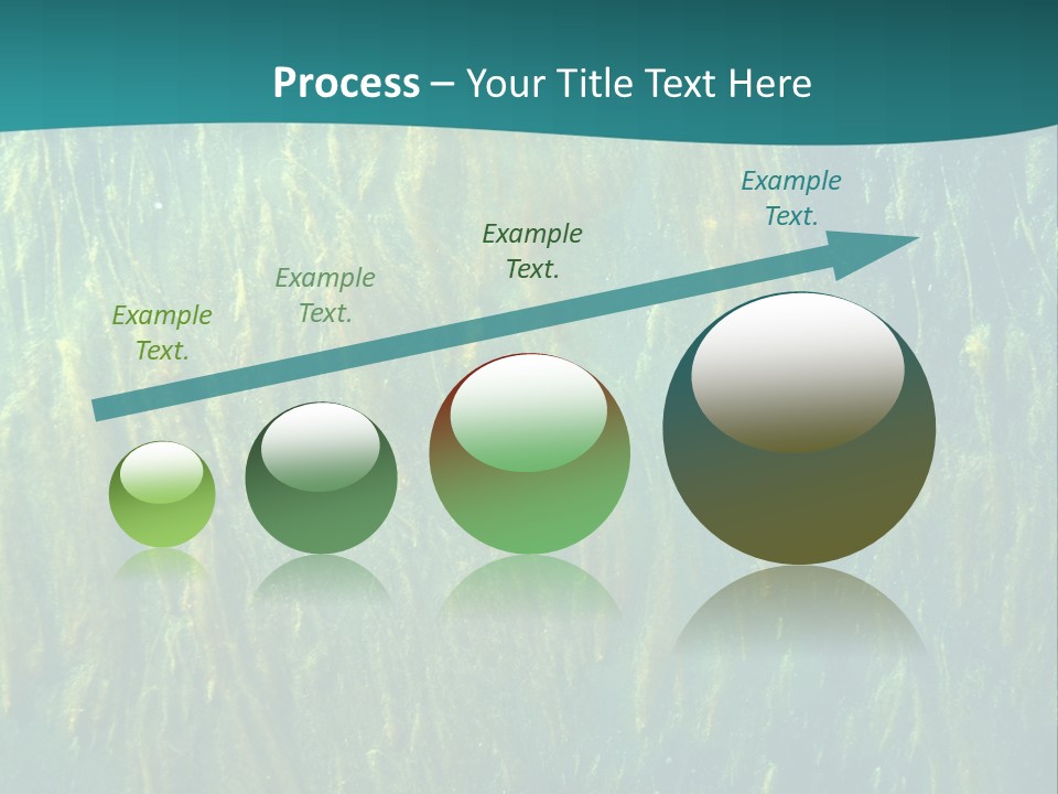 Algae Life Plant PowerPoint Template