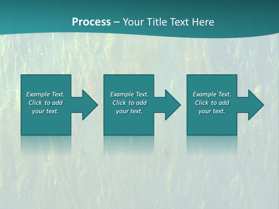 Algae Life Plant PowerPoint Template