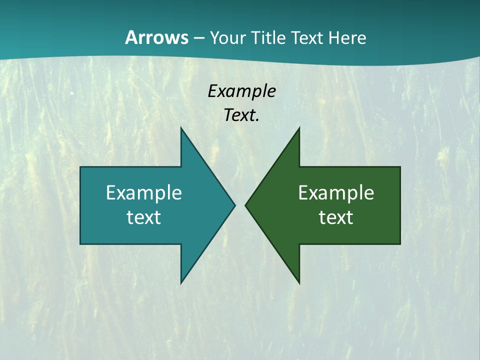 Algae Life Plant PowerPoint Template