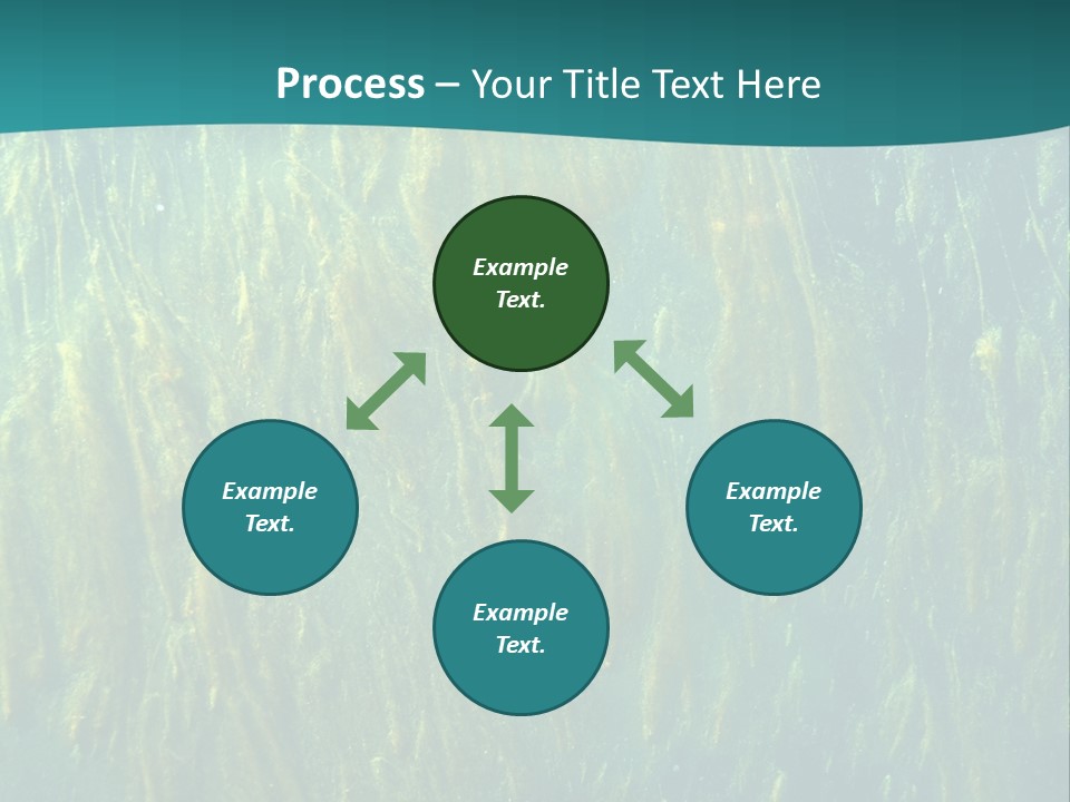 Algae Life Plant PowerPoint Template