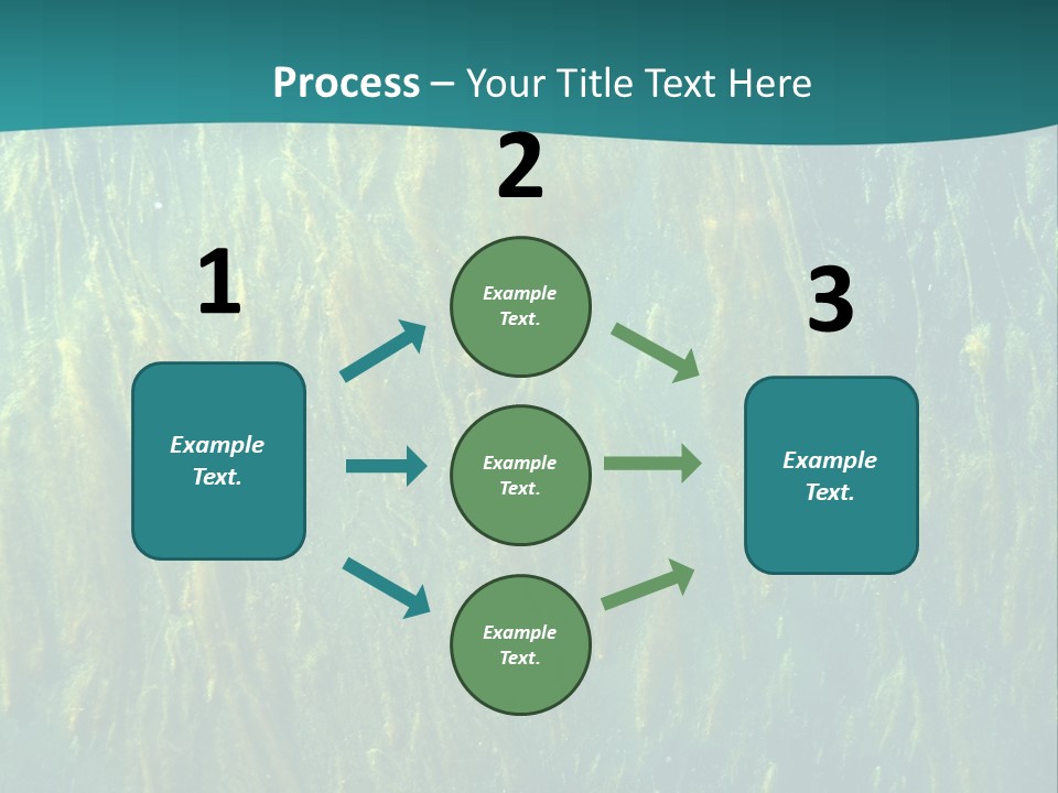Algae Life Plant PowerPoint Template