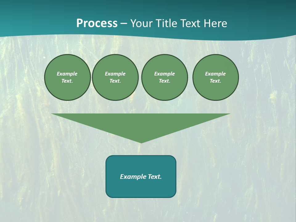 Algae Life Plant PowerPoint Template