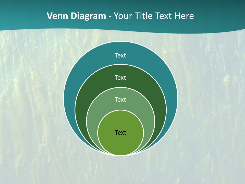 Algae Life Plant PowerPoint Template