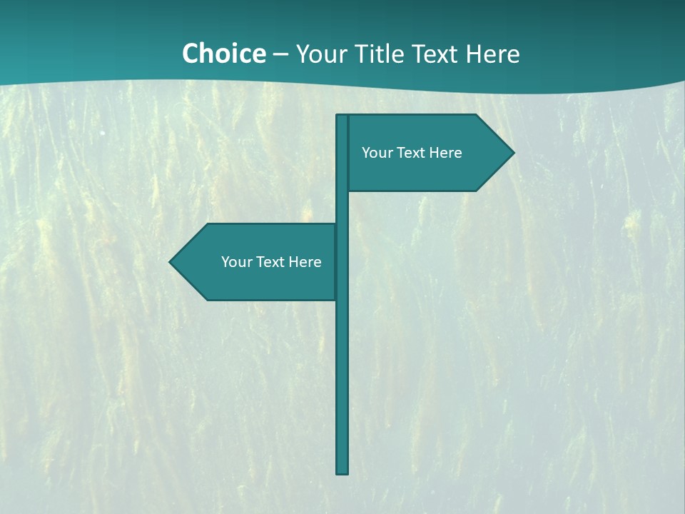 Algae Life Plant PowerPoint Template