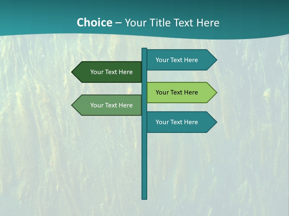 Algae Life Plant PowerPoint Template