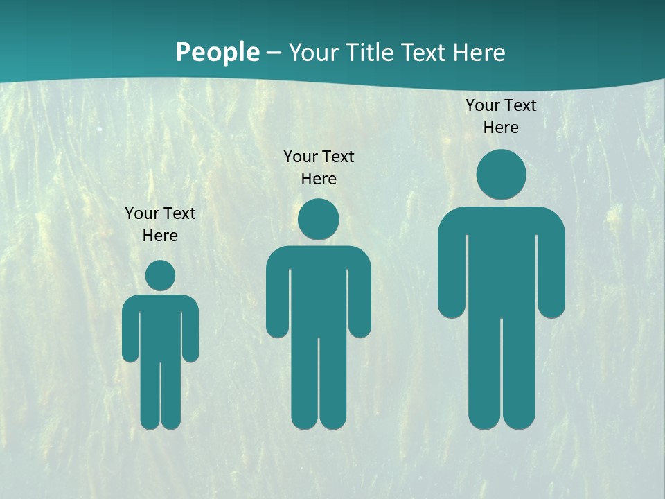 Algae Life Plant PowerPoint Template