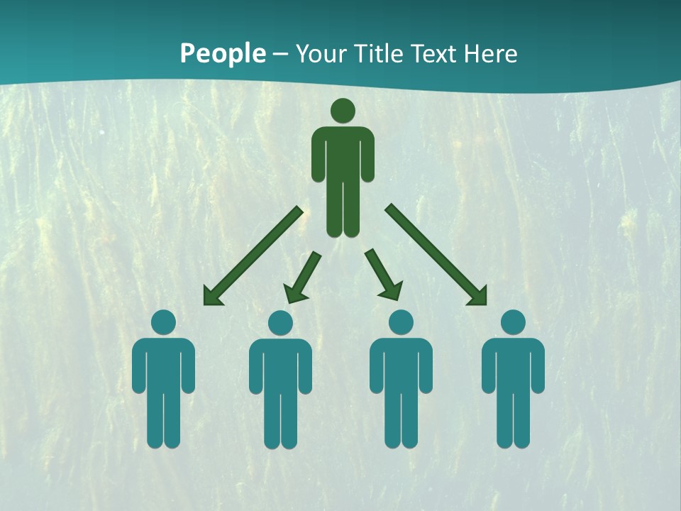 Algae Life Plant PowerPoint Template