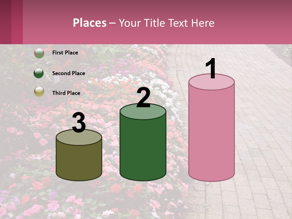 Flowers Blooming Colorful PowerPoint Template