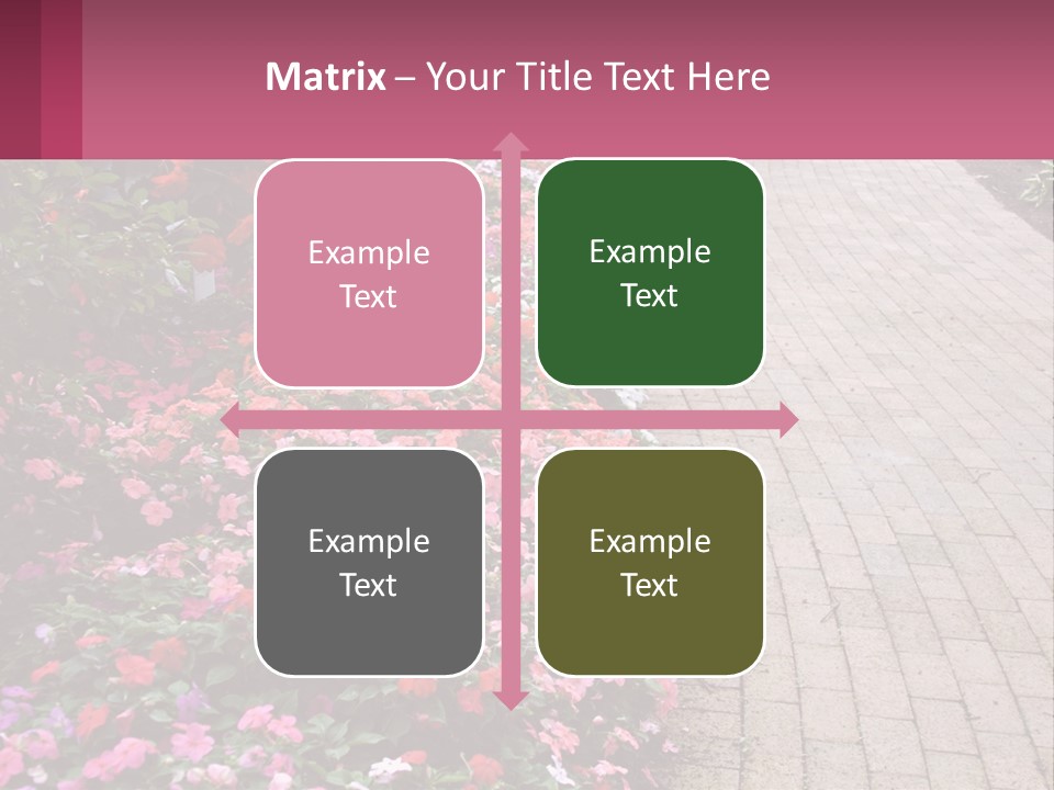 Flowers Blooming Colorful PowerPoint Template