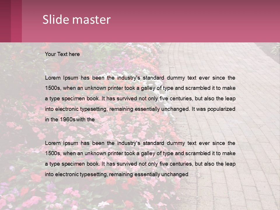 Flowers Blooming Colorful PowerPoint Template