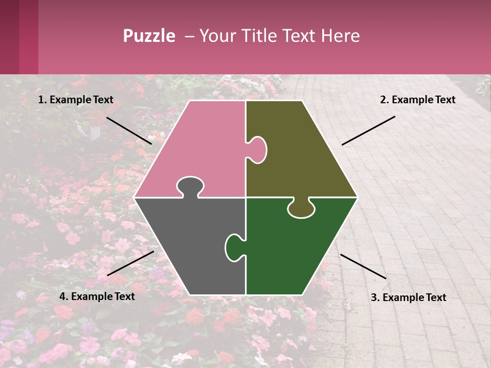 Flowers Blooming Colorful PowerPoint Template