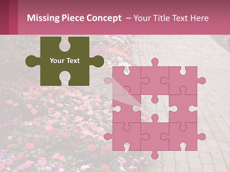 Flowers Blooming Colorful PowerPoint Template