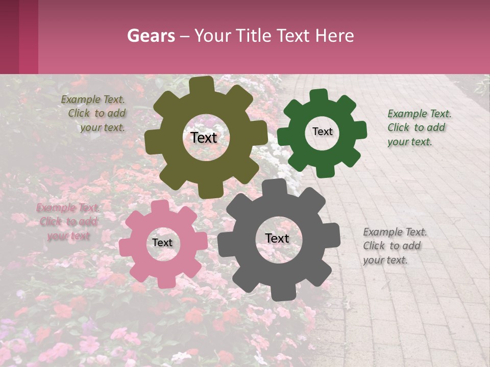 Flowers Blooming Colorful PowerPoint Template