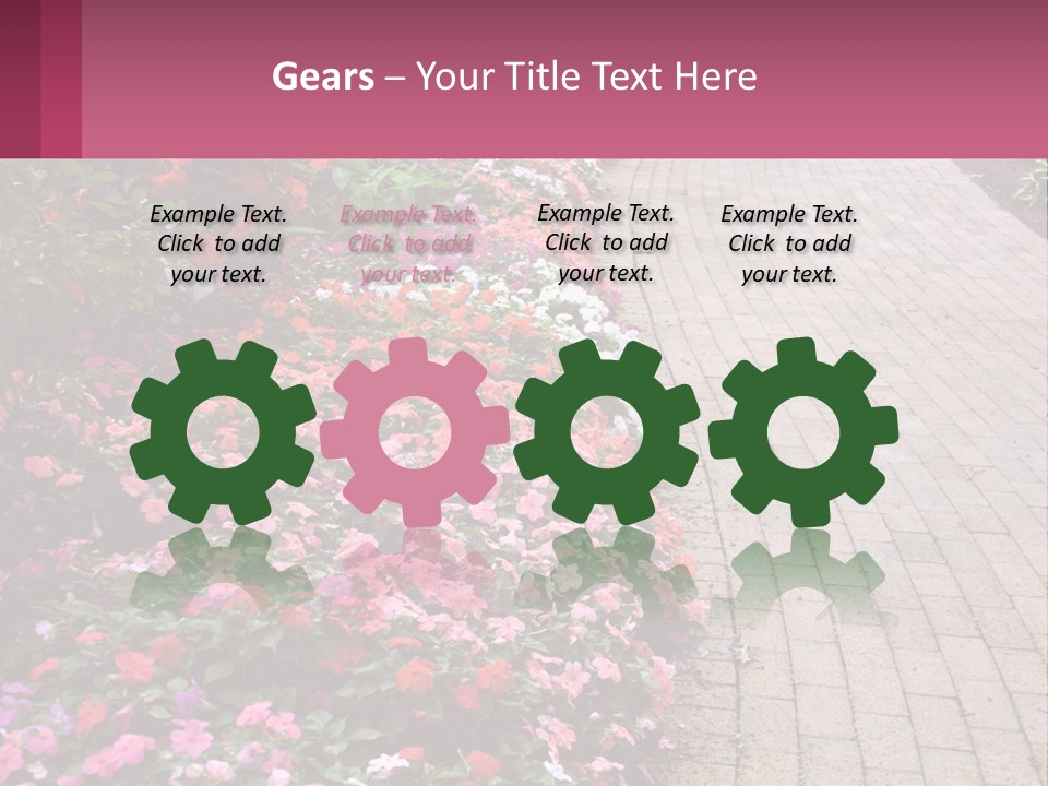 Flowers Blooming Colorful PowerPoint Template