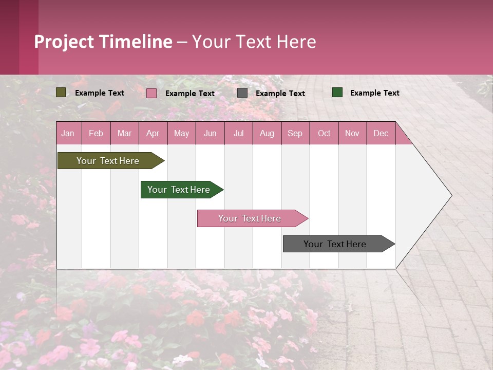 Flowers Blooming Colorful PowerPoint Template