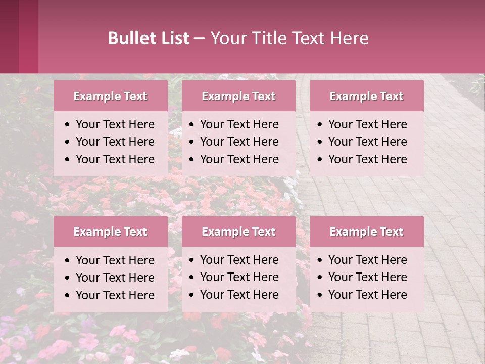 Flowers Blooming Colorful PowerPoint Template