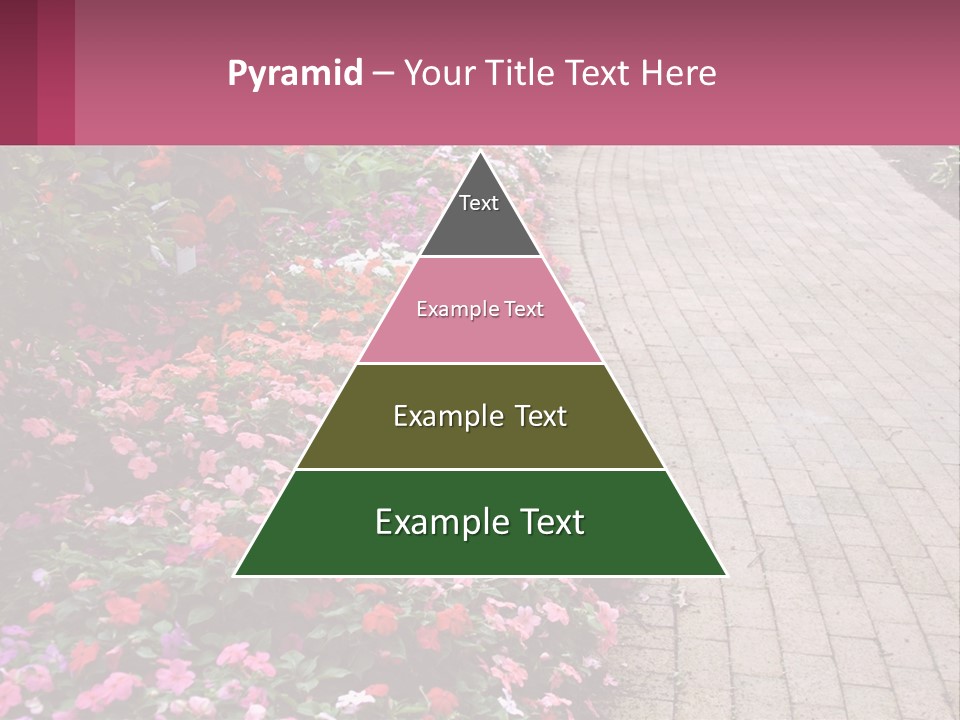 Flowers Blooming Colorful PowerPoint Template