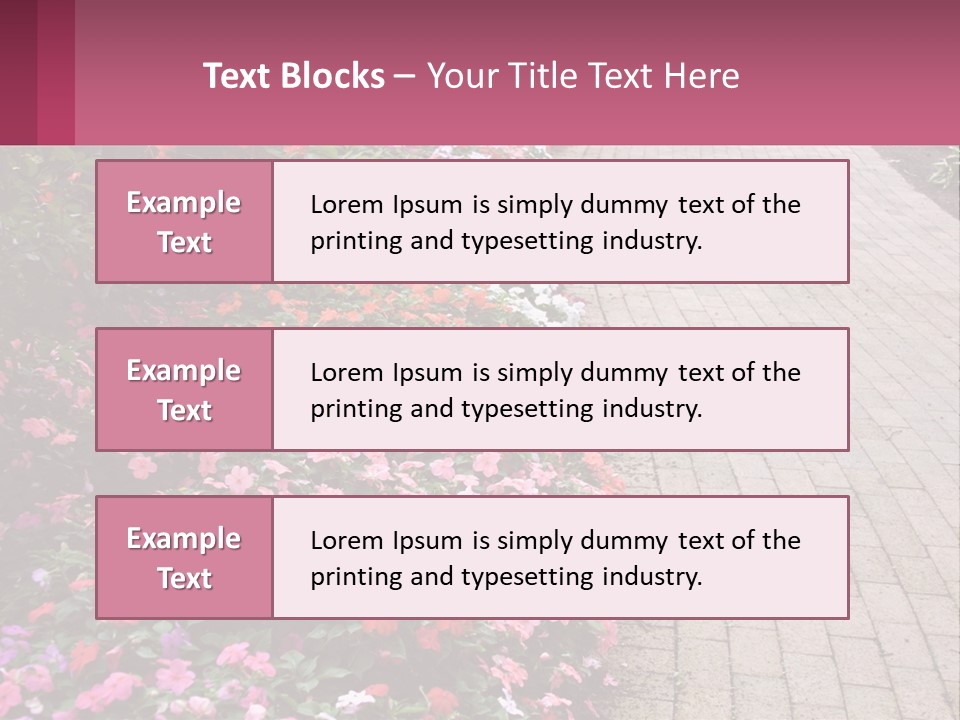 Flowers Blooming Colorful PowerPoint Template