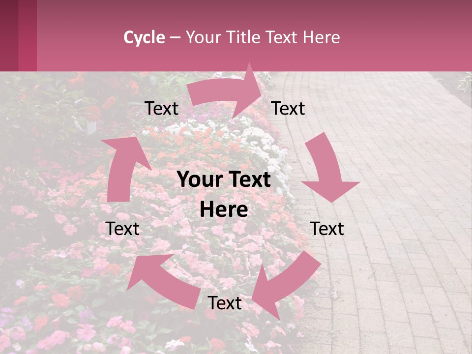 Flowers Blooming Colorful PowerPoint Template