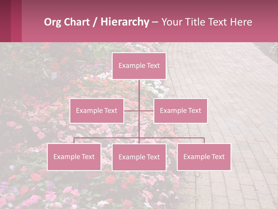 Flowers Blooming Colorful PowerPoint Template