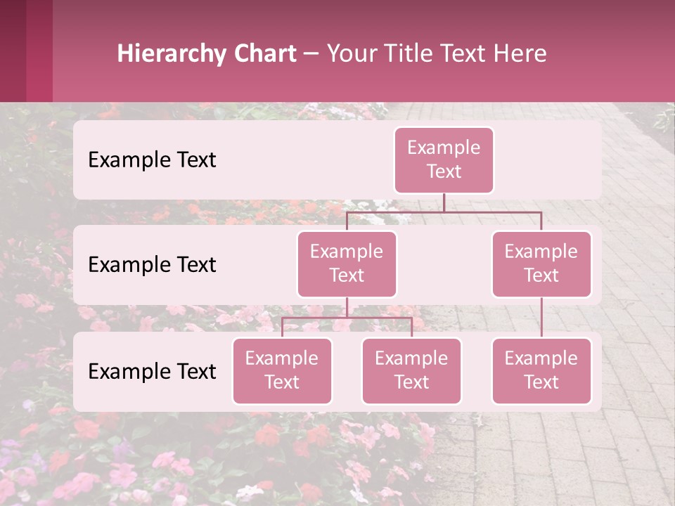 Flowers Blooming Colorful PowerPoint Template