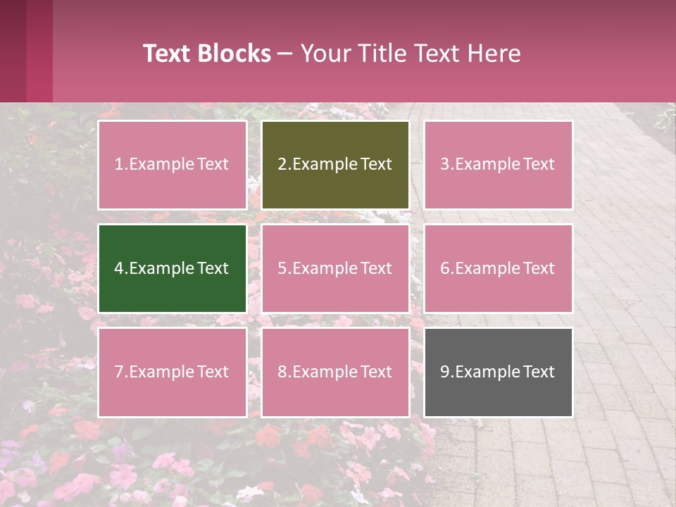 Flowers Blooming Colorful PowerPoint Template