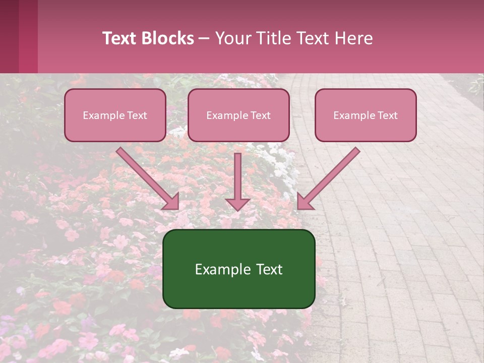 Flowers Blooming Colorful PowerPoint Template