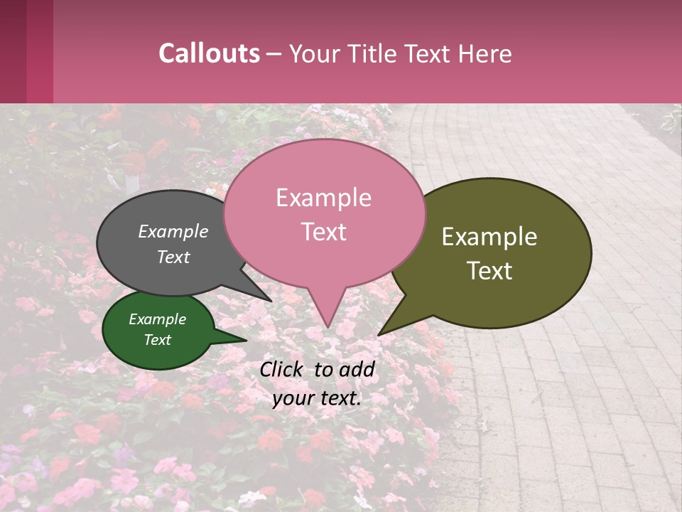 Flowers Blooming Colorful PowerPoint Template