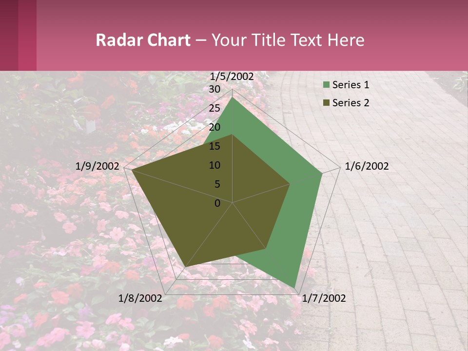 Flowers Blooming Colorful PowerPoint Template
