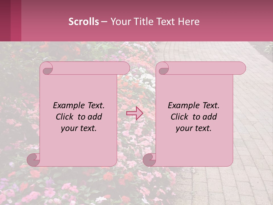 Flowers Blooming Colorful PowerPoint Template