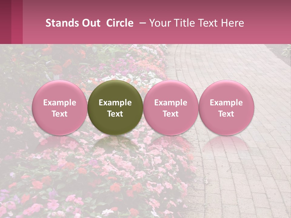 Flowers Blooming Colorful PowerPoint Template