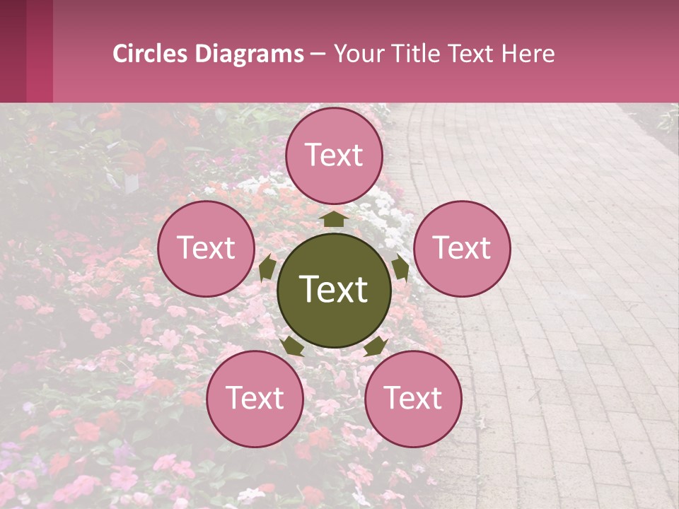 Flowers Blooming Colorful PowerPoint Template