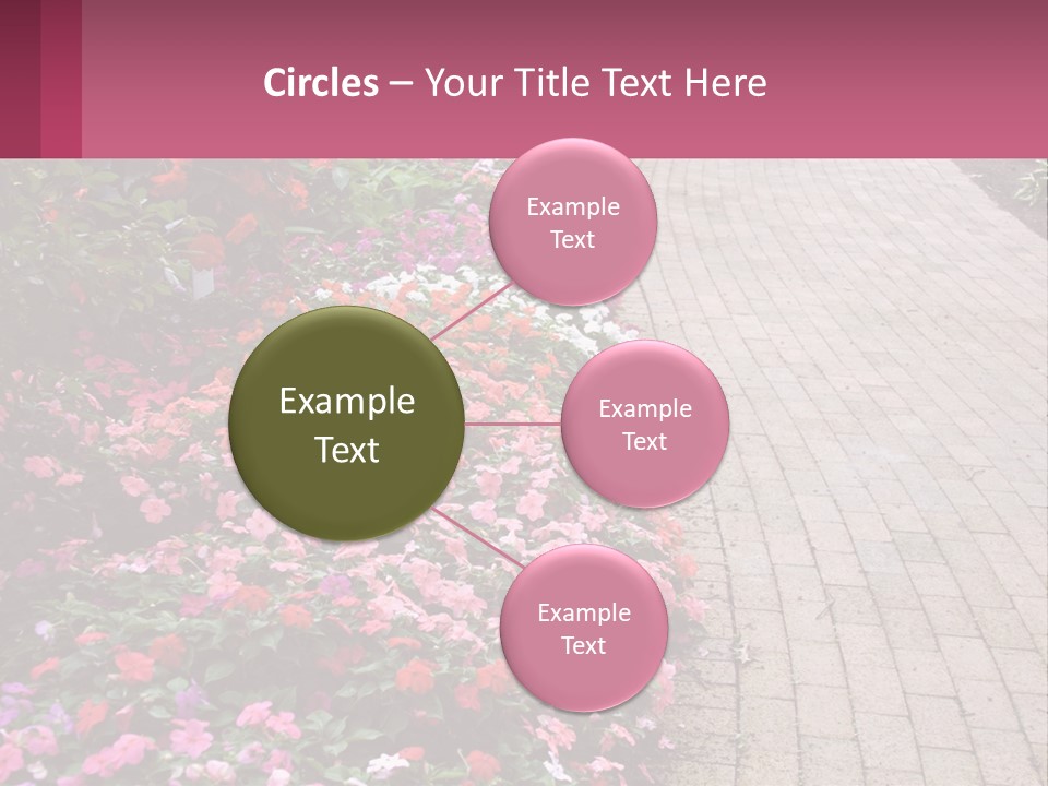 Flowers Blooming Colorful PowerPoint Template