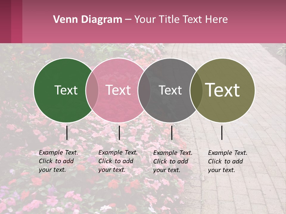 Flowers Blooming Colorful PowerPoint Template