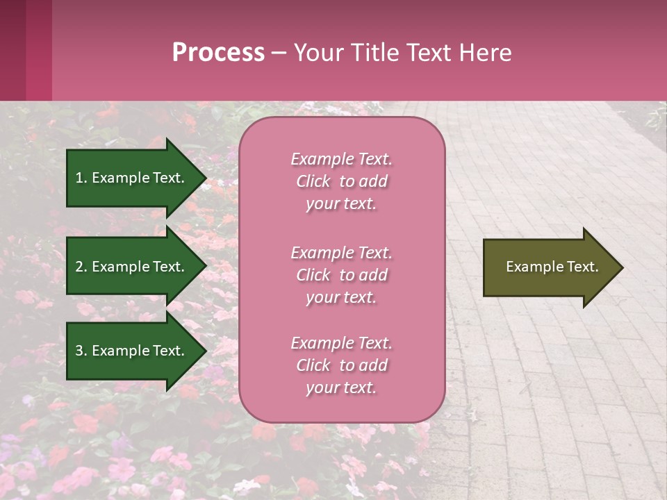 Flowers Blooming Colorful PowerPoint Template