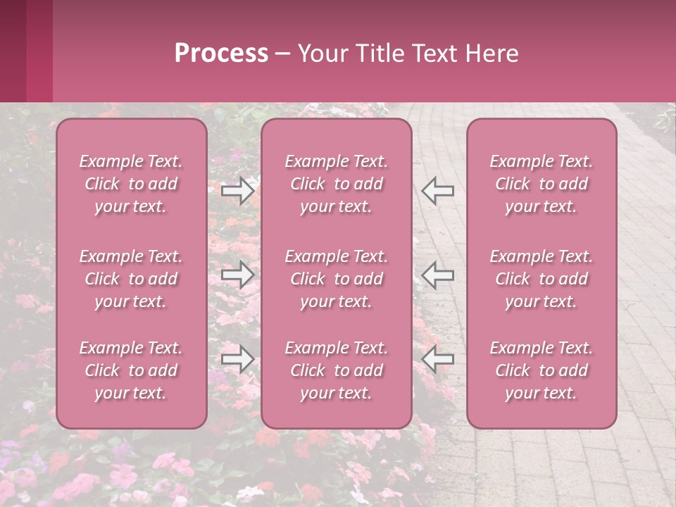 Flowers Blooming Colorful PowerPoint Template