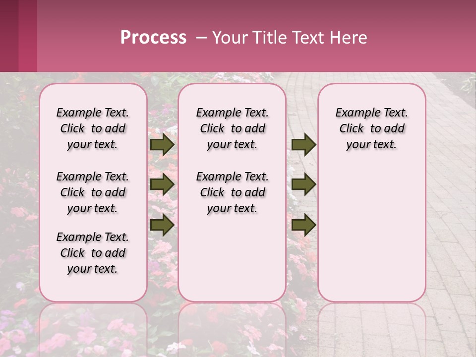 Flowers Blooming Colorful PowerPoint Template
