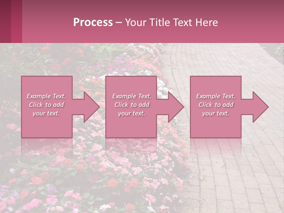 Flowers Blooming Colorful PowerPoint Template