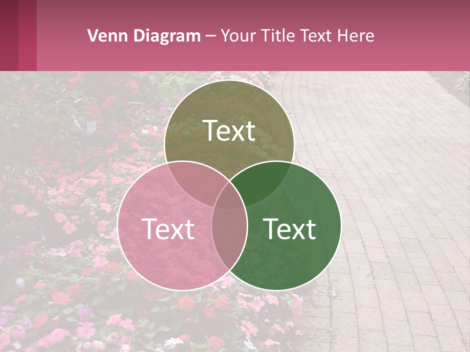 Flowers Blooming Colorful PowerPoint Template