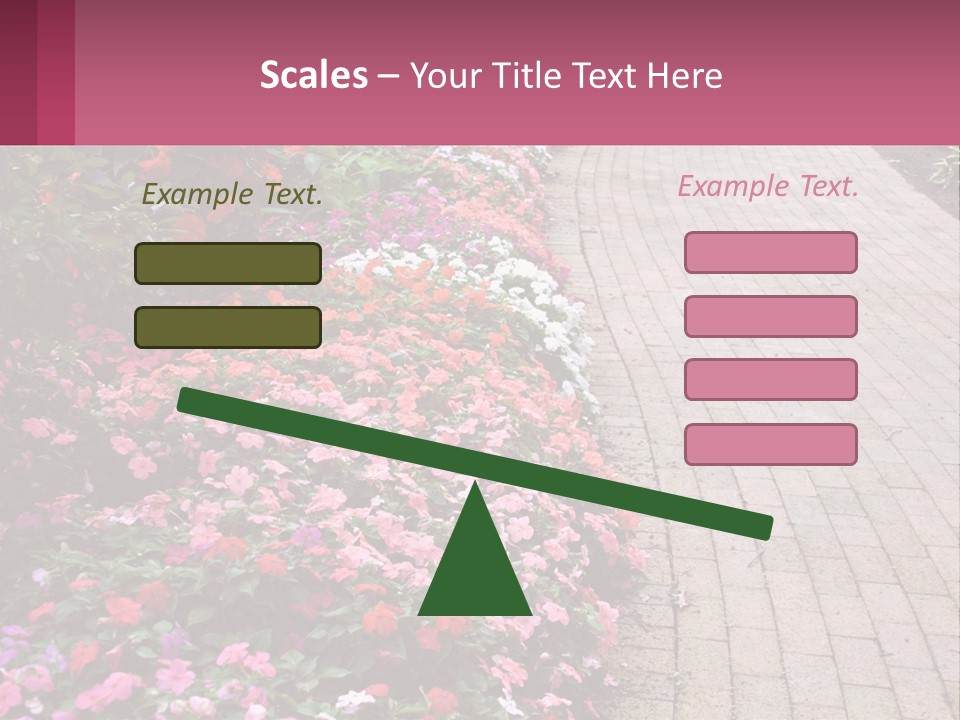 Flowers Blooming Colorful PowerPoint Template