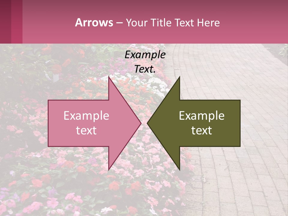 Flowers Blooming Colorful PowerPoint Template