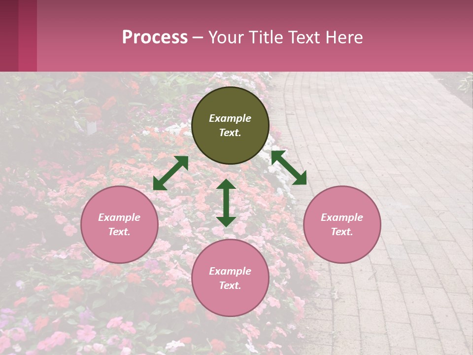 Flowers Blooming Colorful PowerPoint Template