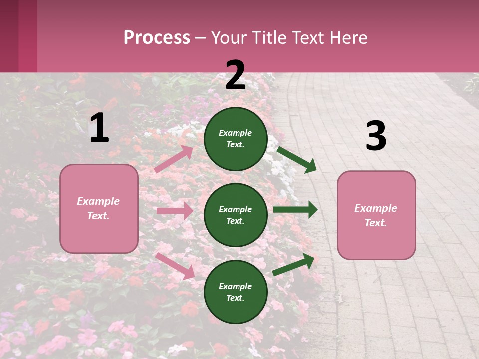 Flowers Blooming Colorful PowerPoint Template