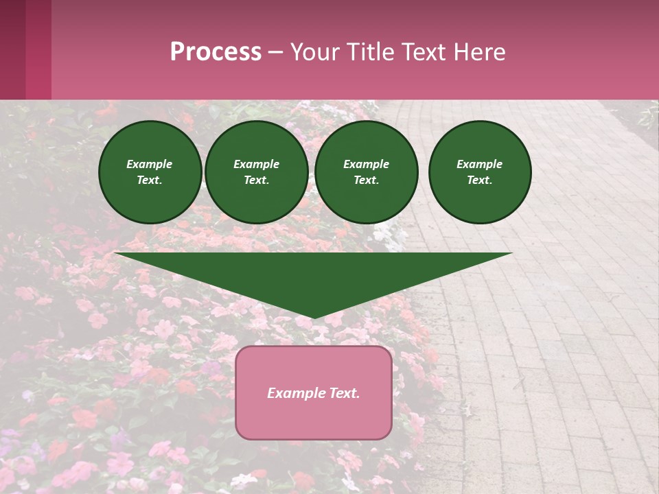 Flowers Blooming Colorful PowerPoint Template