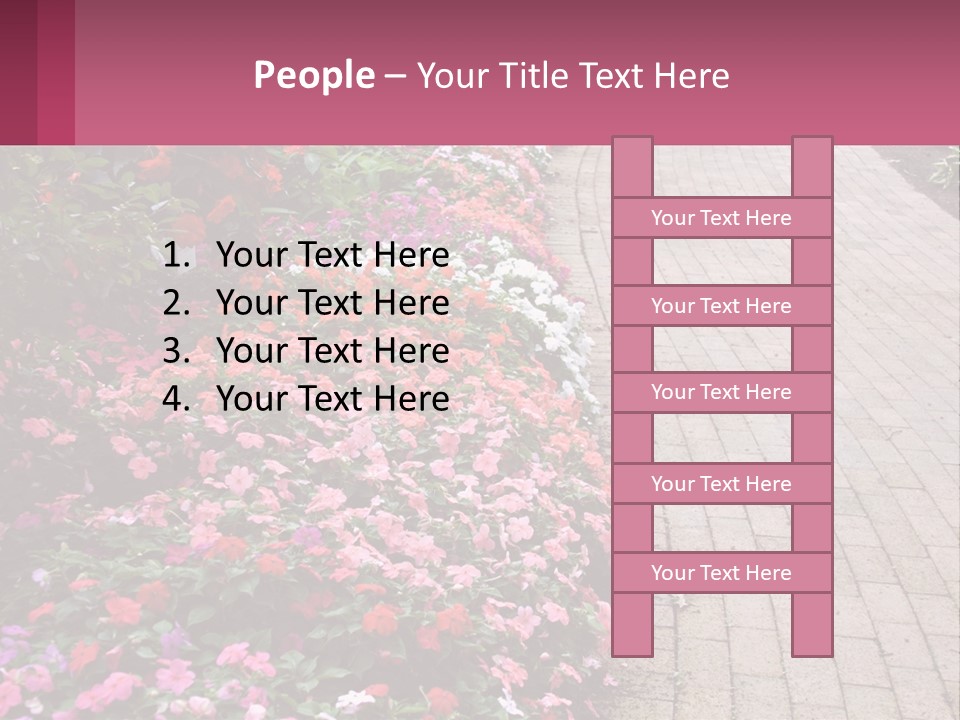 Flowers Blooming Colorful PowerPoint Template