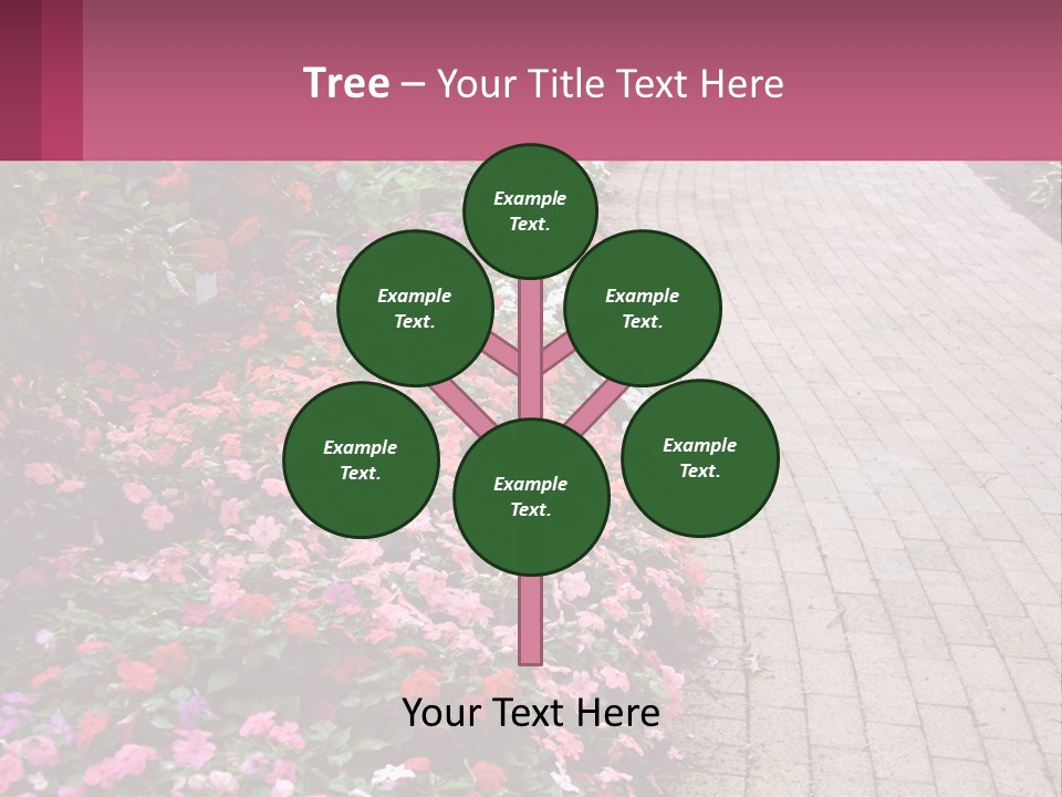 Flowers Blooming Colorful PowerPoint Template