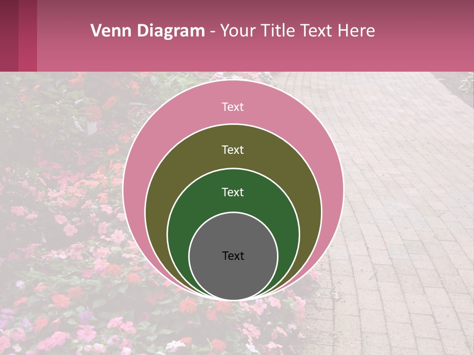 Flowers Blooming Colorful PowerPoint Template