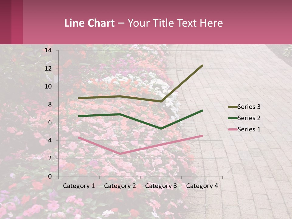 Flowers Blooming Colorful PowerPoint Template